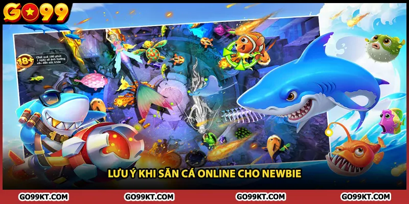 Lưu ý khi săn cá online cho newbie
